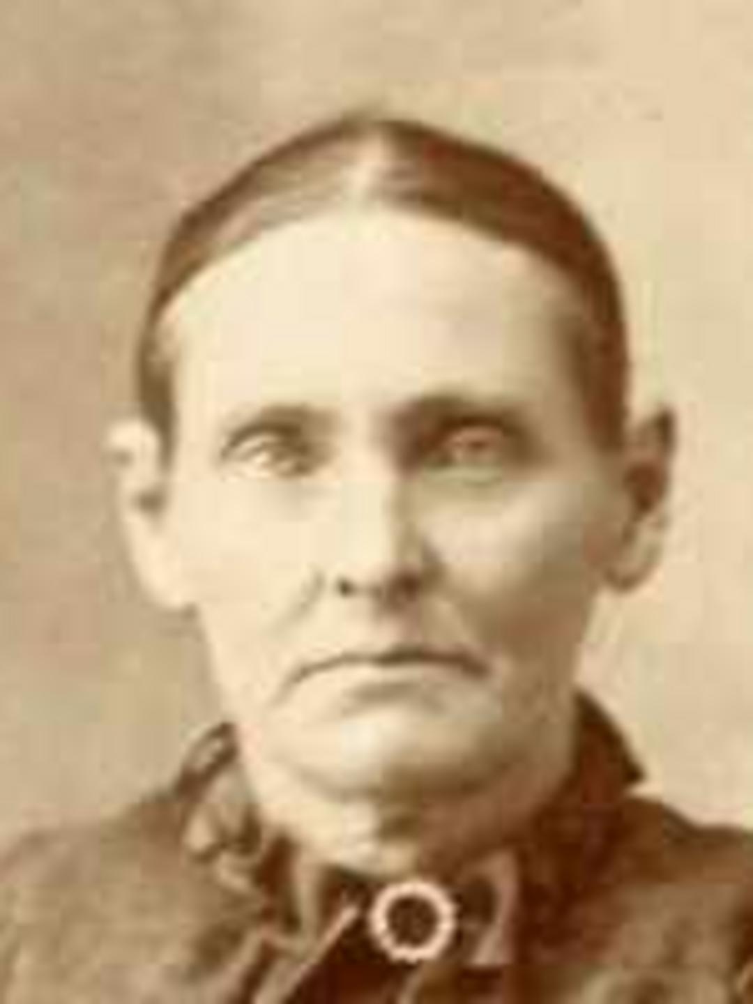 Polly Chapman Hammon (1851 - 1914) Profile